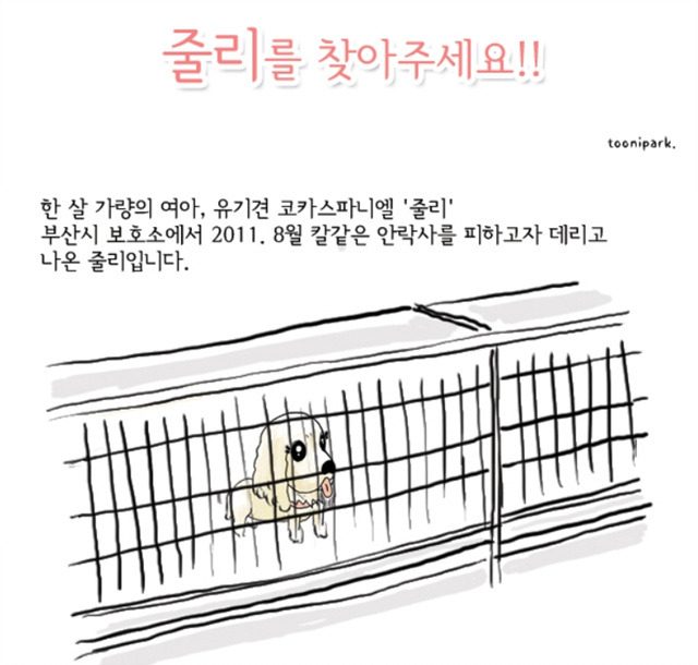 줄리 이미지